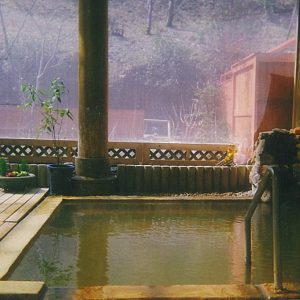 仙寿の里ラムネ温泉
